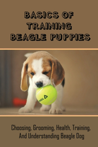 Basics Of Training Beagle Puppies