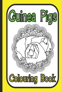 Guinea Pigs Colouring Book