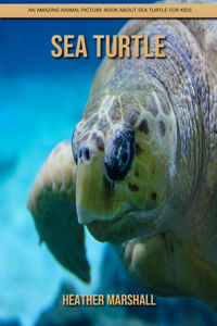 Sea Turtle
