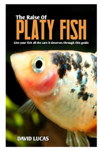 The Raise of Platy Fish