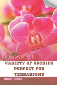 Variety of Orchids Perfect for Terrariums
