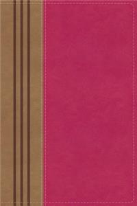 NIV, Biblical Theology Study Bible, Imitation Leather, Pink/Brown, Indexed, Comfort Print