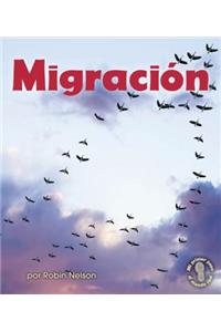 Migración (Migration)