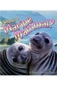 What Is a Marine Mammal?