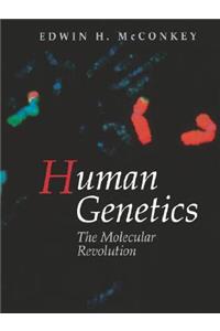 Human Genetics: The Molecular Revolution
