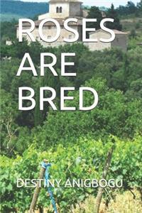 Roses Are Bred