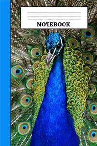 Peacock Notebook