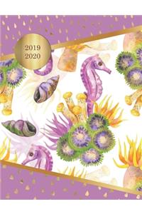 2019 - 2020