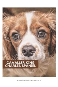 Cavaller King Charles Spaniel Abenteuertagebuch
