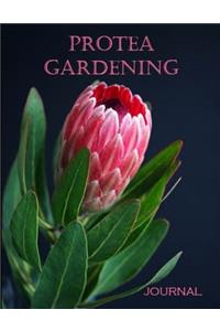 Protea Gardening