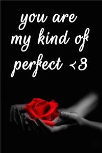 You Are My Kind of Perfect