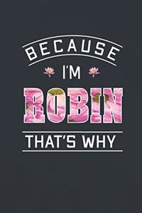 Because I'm Robin That's Why