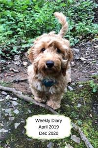 Weekly Diary April 2019-Dec 2020