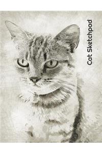 Cat Sketchpad