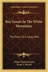 Boy Scouts In The White Mountains