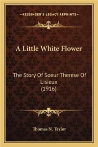 A Little White Flower