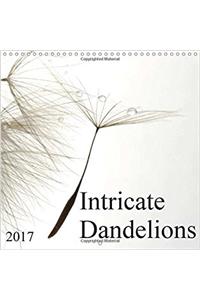 Intricate Dandelions 2017