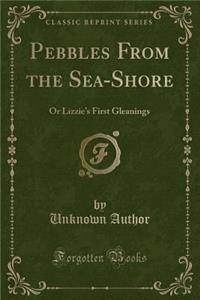 Pebbles from the Sea-Shore: Or Lizzie's First Gleanings (Classic Reprint)