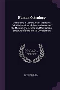 Human Osteology: Comprising a Description of the Bones With Delineations of the Attachments of the Muscles, the General and Microscopic Structure of Bone and Its Dev