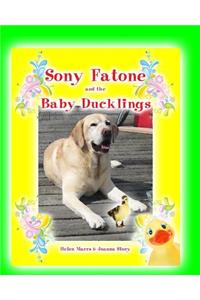 Sony Fatone and the Baby Ducklings