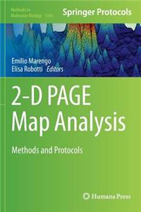 2-D Page Map Analysis
