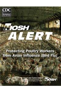 Protecting Poultry Workers From Avian Influenza (Bird Flu)