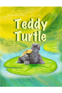 Teddy Turtle