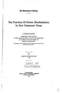 Function of Divine Manifestations in New Testament Times