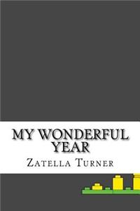 My Wonderful Year