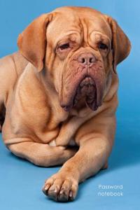 Password Notebook: Large Internet Address and Password Logbook / Journal / Diary - French Mastiff Cover