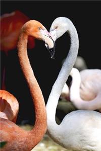 Two Cool Flamingos Strike a Pose Journal