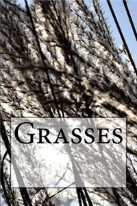 Grasses