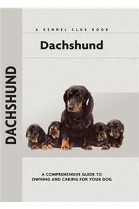 Dachshund