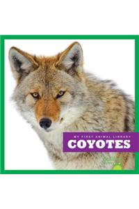Coyotes