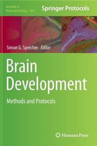 Brain Development