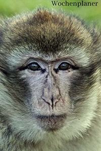 Wochenplaner