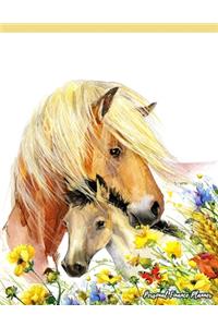 Personal Finance Planner