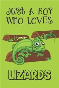 Just A Boy Who Loves Lizards