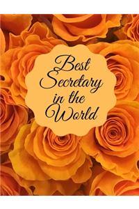 Best Secretary In The World