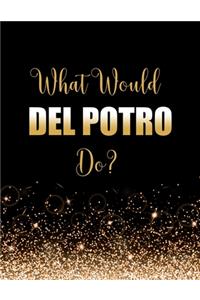 What Would Del Potro Do?
