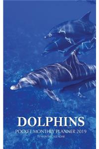 Dolphins Pocket Monthly Planner 2019