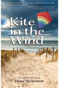 Kite in the Wind