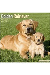 Golden Retriever Calendar 2018