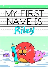 My First Name is Riley
