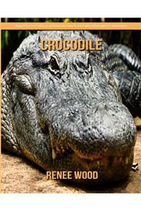 Crocodile