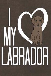 Labrador