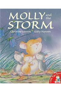 Molly and the Storm