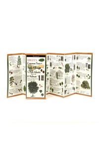 Sibley's Common Trees of Trails & Forests of the Mid-Atlantic & Midwest