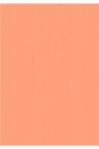 Light Salmon Medium Sketchbook