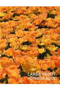 Large Print Address Book